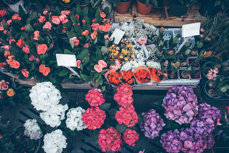 A vibrant display of fresh flowers arranged in a florist shop, featuring pink, purple, and white hydrangeas, orange and yellow small chrysanthemums, and peach-colored begonias. The blooms are tightly